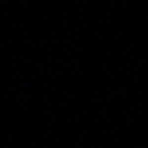 Meet your Posher, Carla